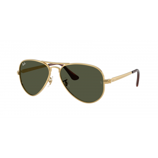 Ray-Ban Aviator Max RB3925 001/31