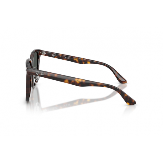 Ray-Ban RB2206D 710/87