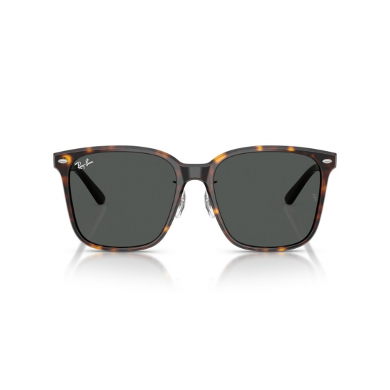 Ray-Ban RB2206D 710/87