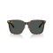 Ray-Ban RB2206D 710/87