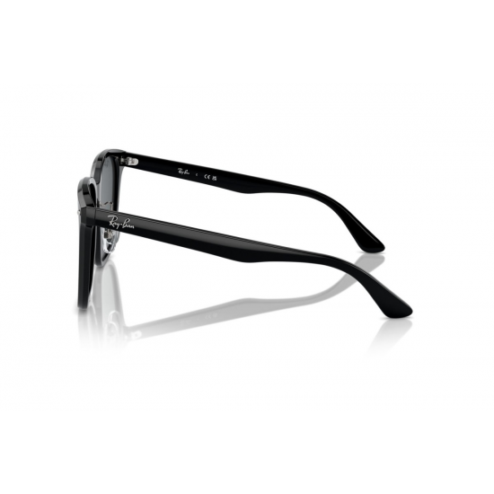 Ray-Ban RB2206D 901/87