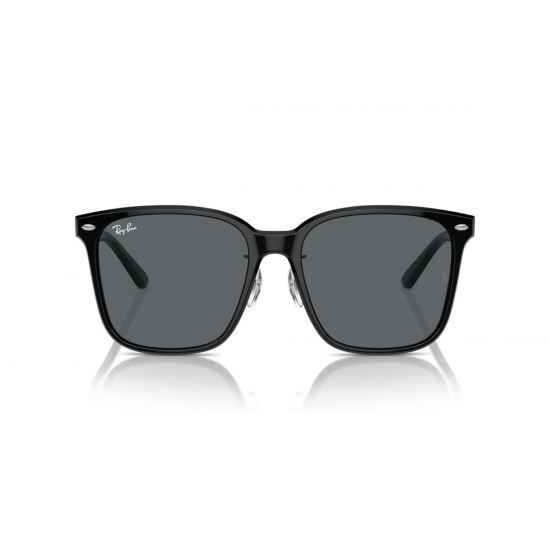 Ray-Ban RB2206D 901/87