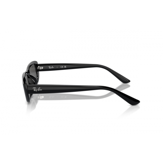 Ray-Ban RB4436D 667787