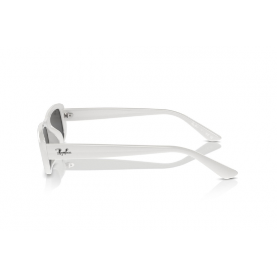 Ray-Ban RB4436D 677287