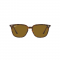 Ray-Ban RB4362 710/83 Polarized