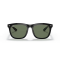 Ray-Ban RB4260D 601/71