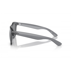 Ray-Ban RB4260D 645087