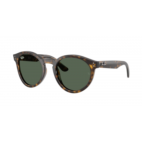 Ray-Ban RBR0505S 6790VR