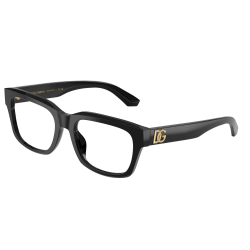 Dolce&Gabbana DG3416 501