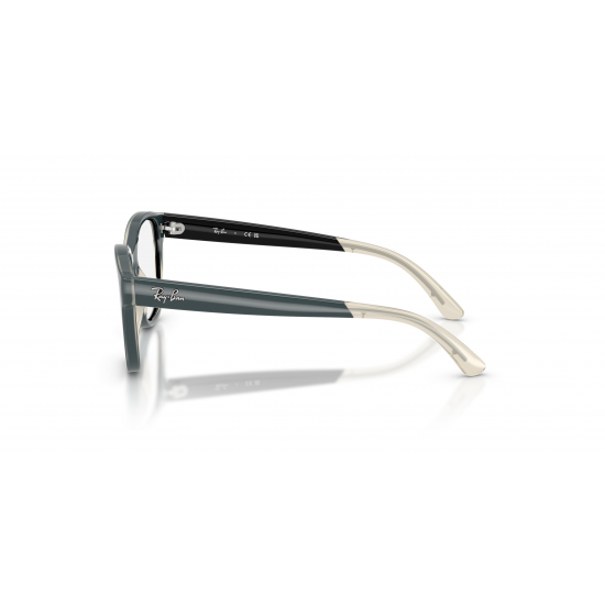 Ray-Ban RY1950 7202