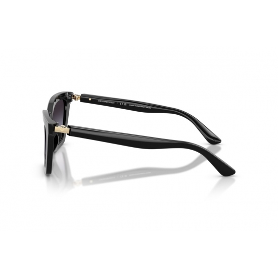 Emporio Armani EA4250U 50178G
