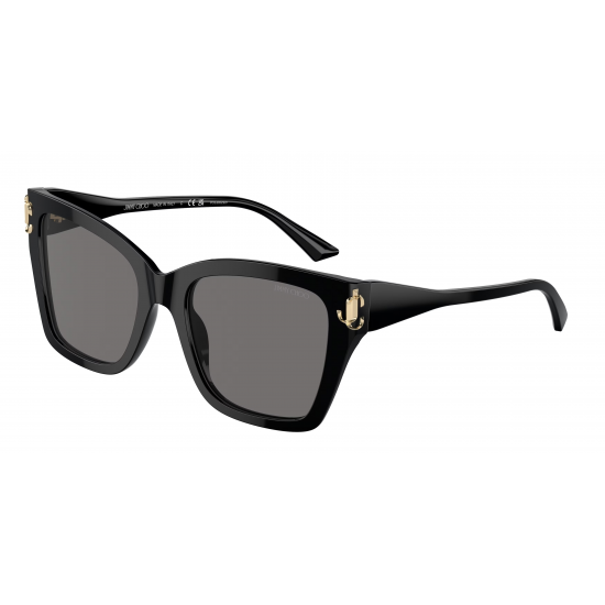Jimmy Choo JC5012 500081 Polarized