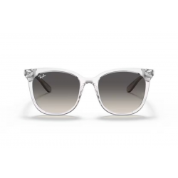  Ray-Ban RB4379D 659811
