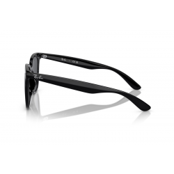  Ray-Ban RB4379D 601/87