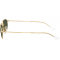 Ray-Ban RB3947 001/31