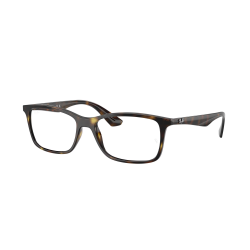 Ray-Ban RX7047 2012