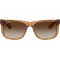Ray-Ban Justin RB4165 681413