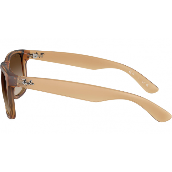 Ray-Ban Justin RB4165 681413