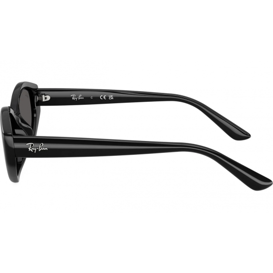 Ray-Ban RB4473D 667787