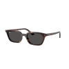 Ray-Ban Zaya RB4456 135987