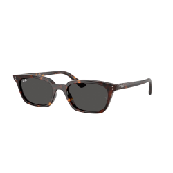 Ray-Ban Zaya RB4456 135987