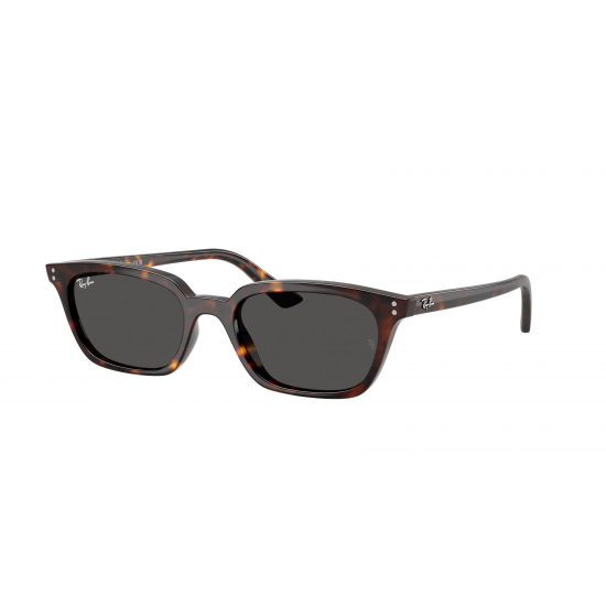 Ray-Ban Zaya RB4456 135987