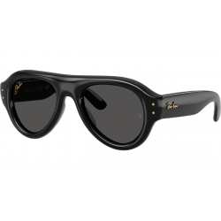 Ray-Ban RB4925 601/87