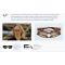Ray-Ban Doreen RB2286 1413S3 Polarized