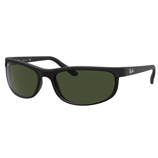Ray-Ban Predator 2 RB2027 W1847