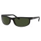 Ray-Ban Predator 2 RB2027 W1847