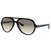 Ray-Ban Cats 5000 RB4125 601/32