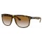 Ray-Ban RB4147 710/51