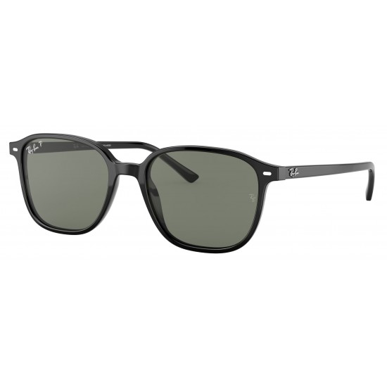 Ray-Ban Leonard RB2193 901/58 Polarized