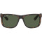 Ray-Ban Justin RB4165 865/9A Polarized