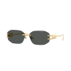 Versace VE2274 100287