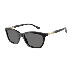Emporio Armani EA4238 501781 Polarized