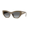 Vogue Eyewear VO5607S 317511