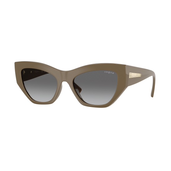Vogue Eyewear VO5607S 317511