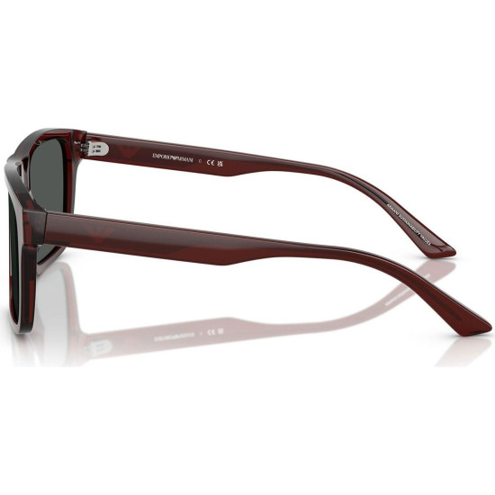 Emporio Armani EA4234U 500171