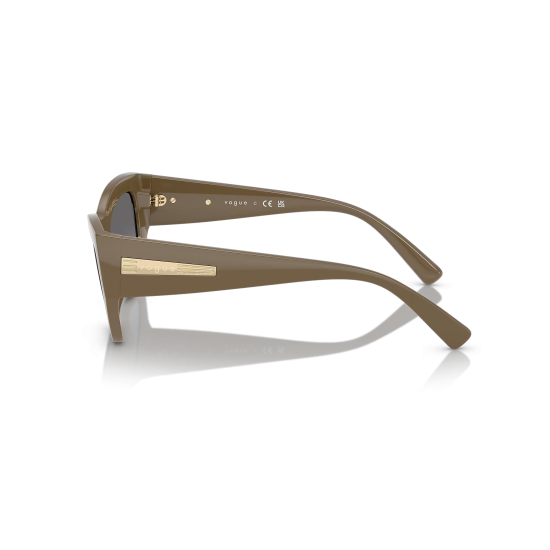 Vogue Eyewear VO5607S 317511