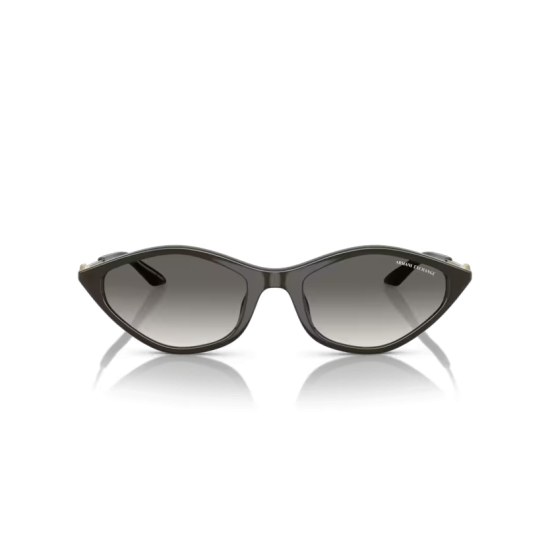 Armani Exchange AX4152SU 836711