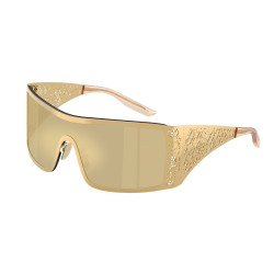 Dolce&Gabbana DG2317 02/7I