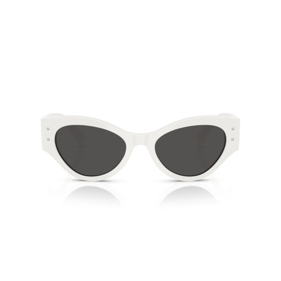 Dolce&Gabbana DG4479 501/87