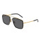 Dolce&Gabbana DG2220 02/81 Polarized