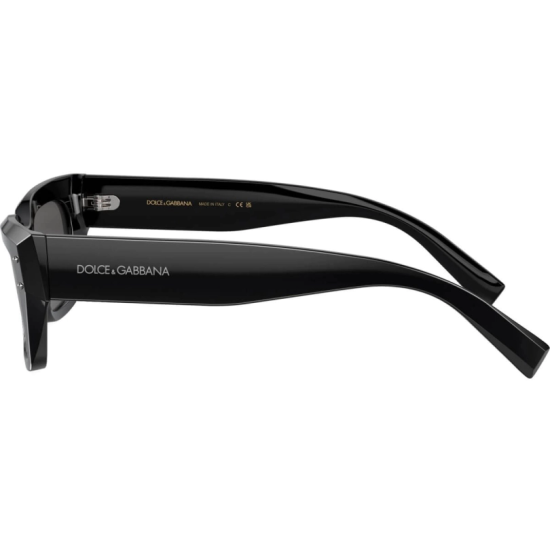 Dolce&Gabbana DG4462 501/87