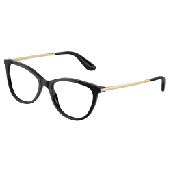 Dolce&Gabbana DG3258 501