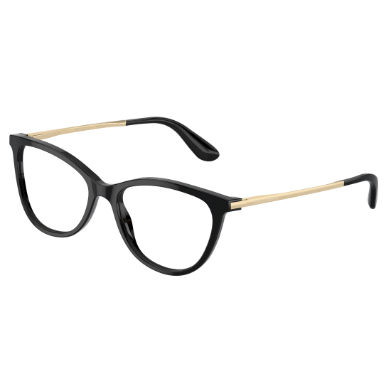 Dolce&Gabbana DG3258 501