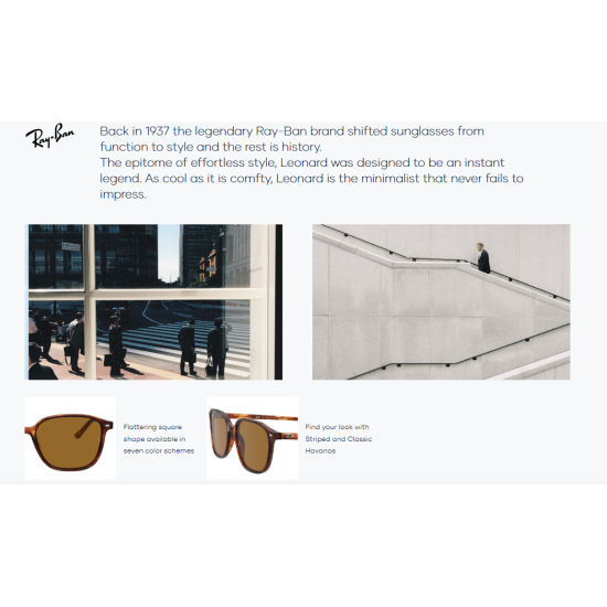 Ray-Ban  Leonard RB2193 901/31