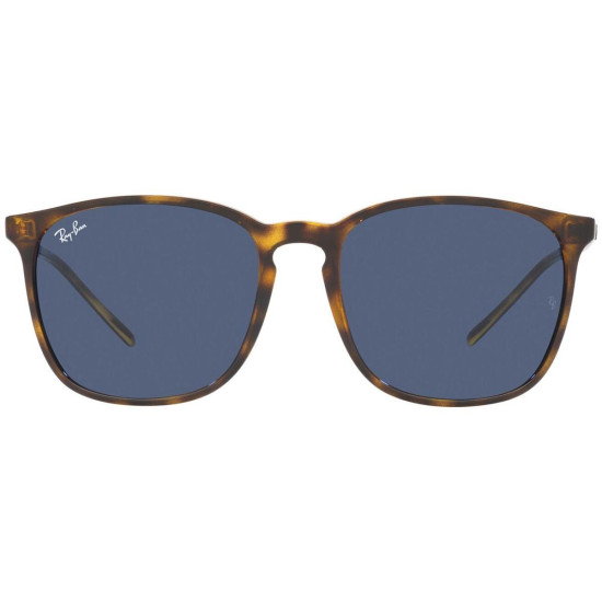 Ray-Ban RB4387 710/80