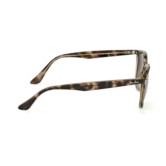 Ray-Ban RB4259 731/E8